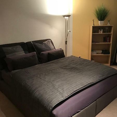 Kleine Wohnung Im Gruenen 德累斯顿 外观 照片