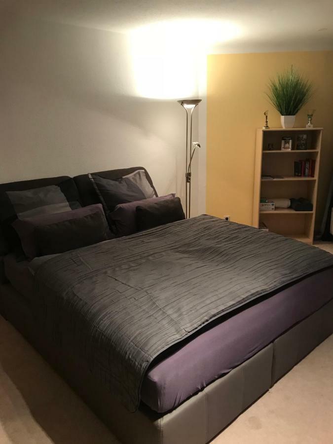 Kleine Wohnung Im Gruenen 德累斯顿 外观 照片