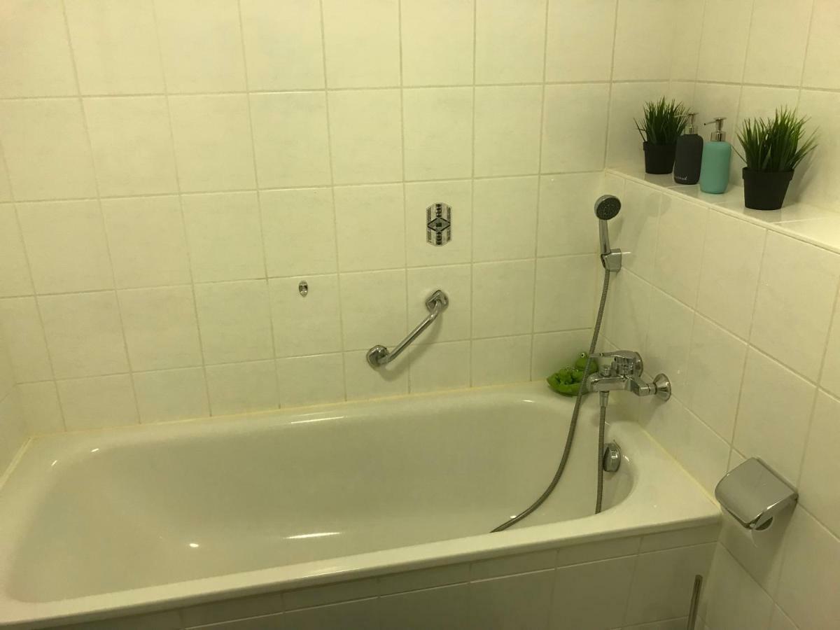 Kleine Wohnung Im Gruenen 德累斯顿 外观 照片
